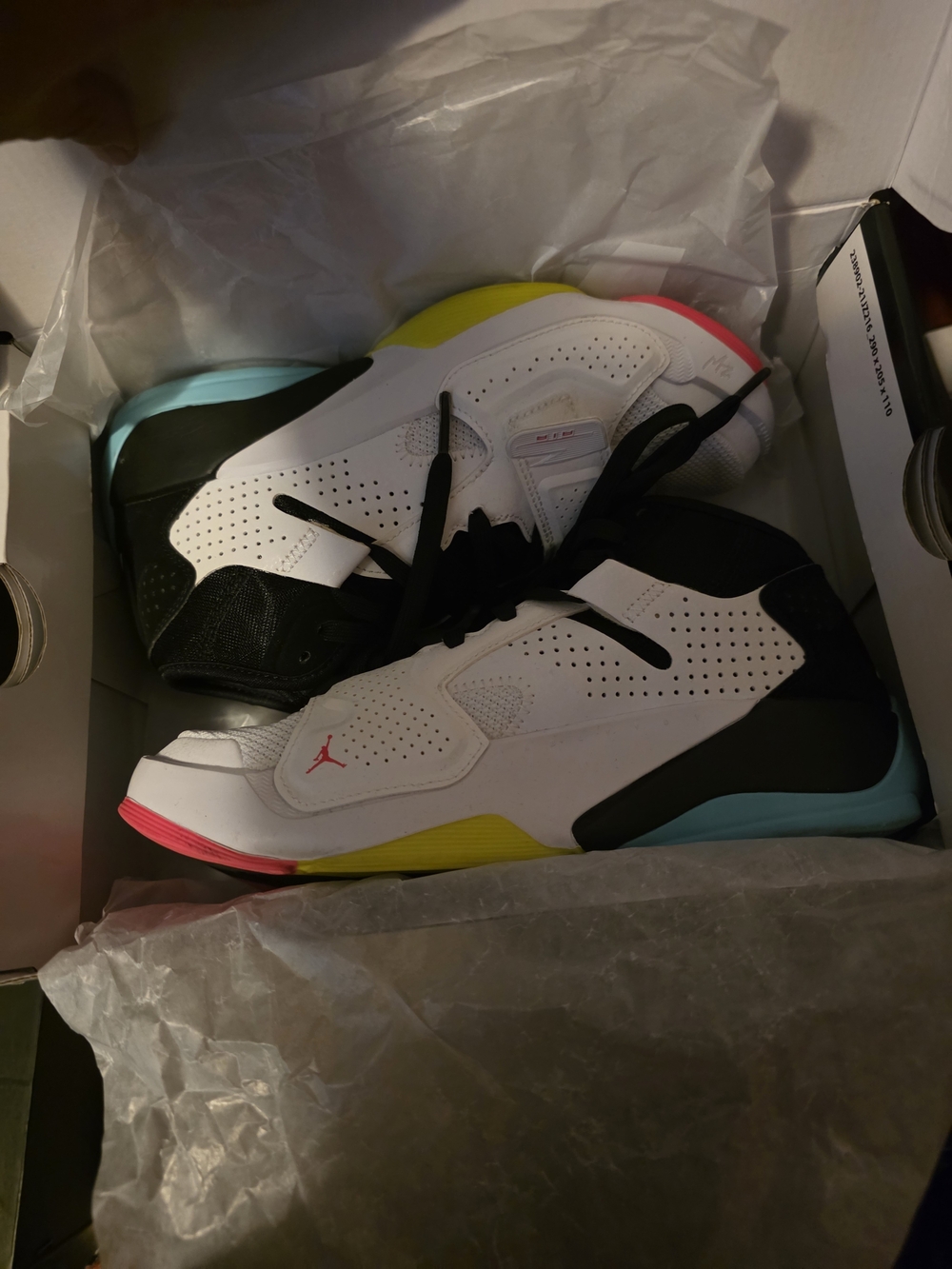 Jordan Zion 2